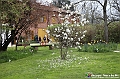 VBS_2015 - Inaugurazione Messer Tulipano 2025